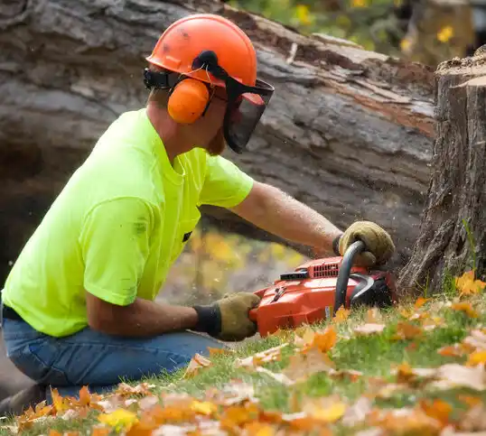 tree services Cramerton